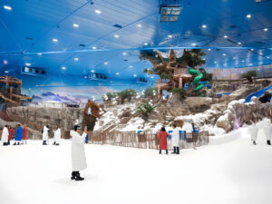 Snow Abu Dhabi Park Ticket