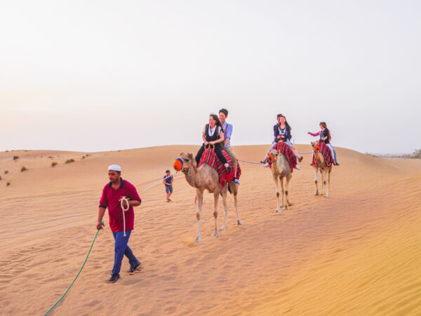 abu dhabi desert safari