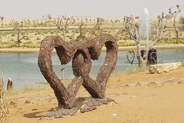 Love Lake Desert Private Experience - Image 3