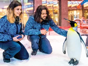 Ski Dubai Snow Park