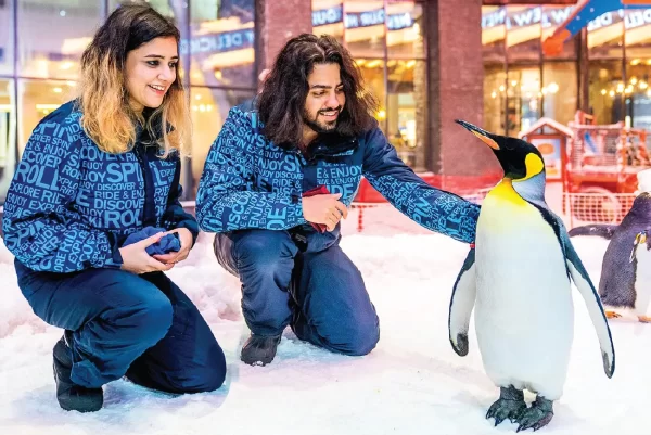 Ski Dubai Snow Park