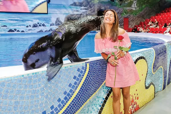 Dubai Dolphinarium: Dolphin & Seal Show - Image 2