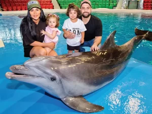 Dubai Dolphinarium: Dolphin & Seal Show