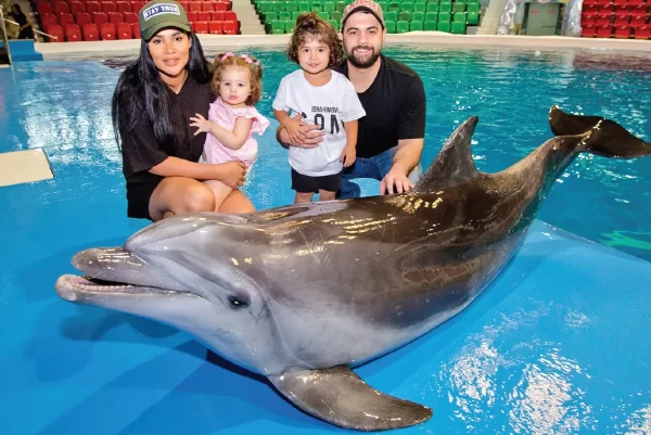 Dubai Dolphinarium: Dolphin & Seal Show