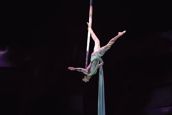 La Perle Show Dubai - Image 7