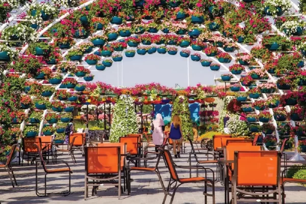 Miracle Garden Dubai - Image 2