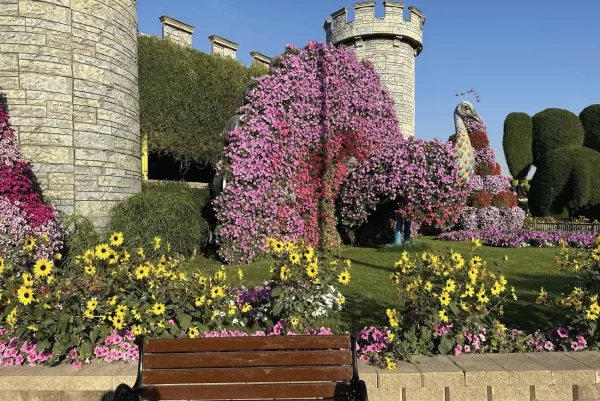 Miracle Garden Dubai - Image 3