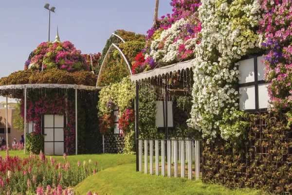 Miracle Garden Dubai - Image 4