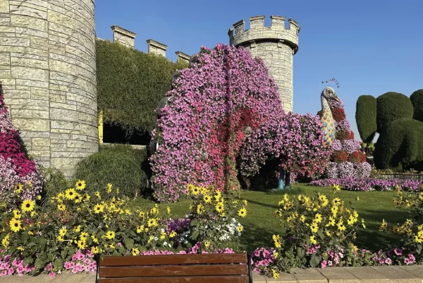 Miracle Garden Dubai - Image 5
