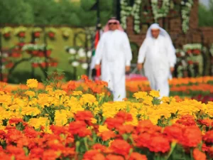 Miracle Garden Dubai