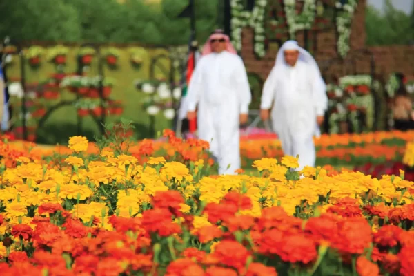 Miracle Garden Dubai