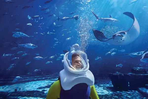 The Lost Chambers Aquarium Tickets - Image 11