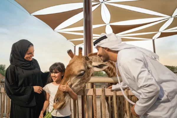 Dubai Safari Park Ticket - Image 4