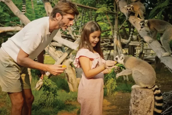 Dubai Safari Park Ticket - Image 8