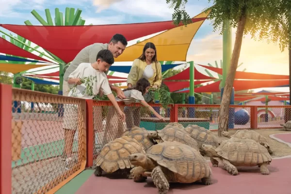Dubai Safari Park Ticket - Image 10