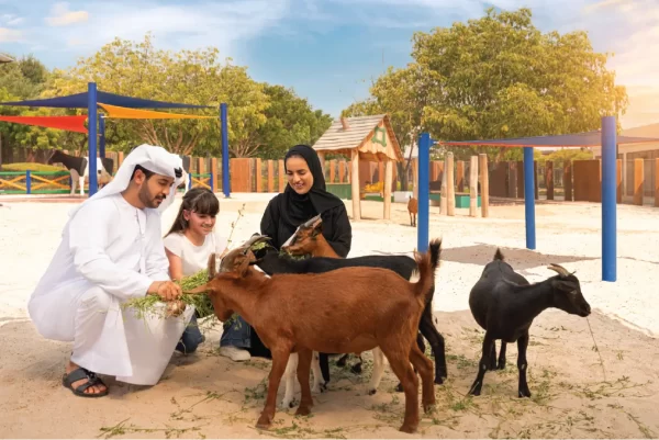 Dubai Safari Park Ticket - Image 11