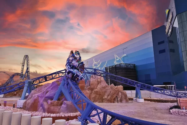 SeaWorld Abu Dhabi - Image 5
