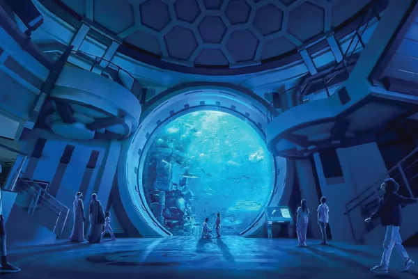 SeaWorld Abu Dhabi - Image 7