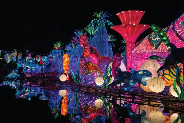 Glow Garden Dubai - Image 5