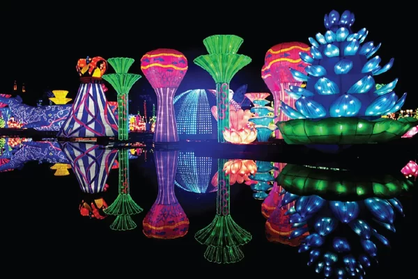 Glow Garden Dubai - Image 2