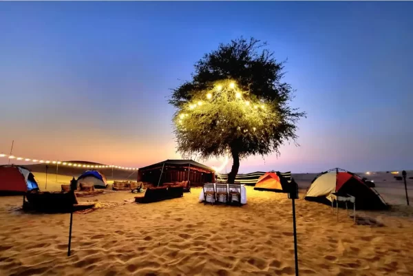 Overnight Desert Stay Experience - Image 11