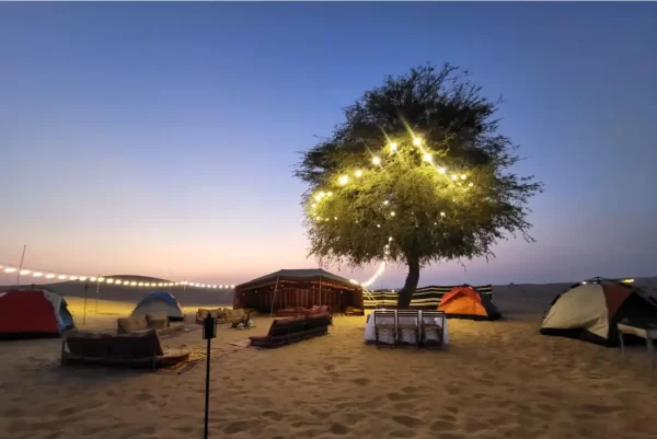 Overnight Desert Stay Experience - Image 9