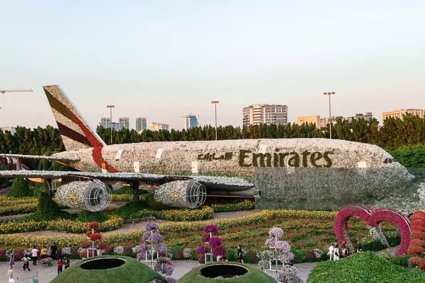Dubai Miracle Garden - Image 9