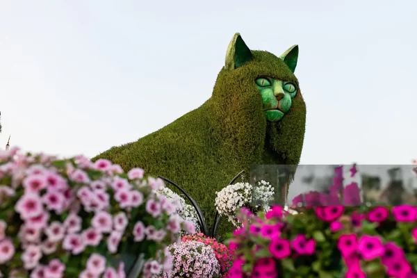 Dubai Miracle Garden - Image 10