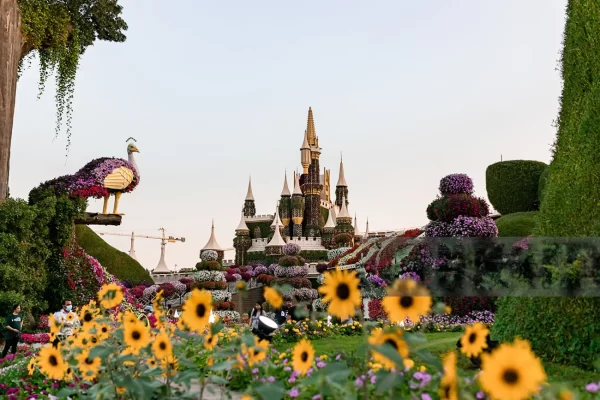 Dubai Miracle Garden - Image 11