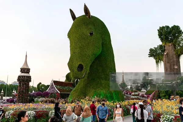 Dubai Miracle Garden - Image 12