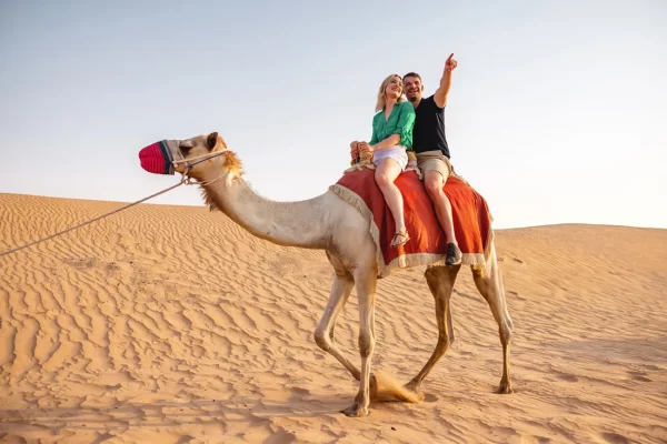 Serene Desert Dinner Experience - Image 18