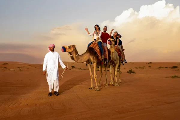 Travel & tours (1187)