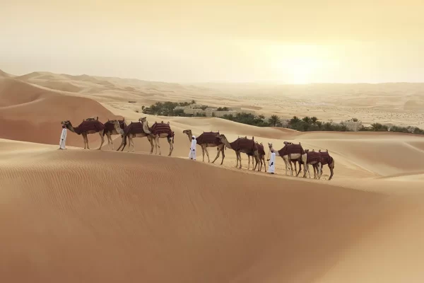 5 Star Desert Safari at Bab Al Shams - Image 7