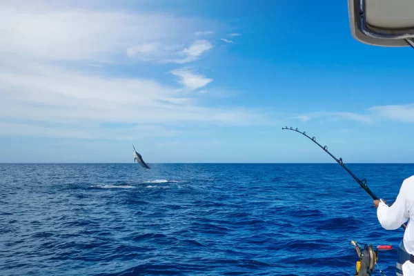 Fishing Trip Dubai - Image 6