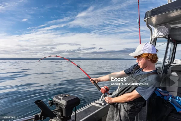 Fishing Trip Dubai - Image 4