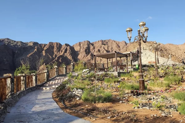 Fujairah East Coast Tour - Image 3