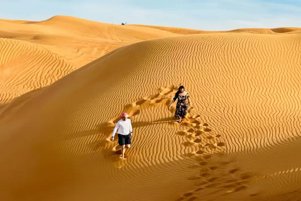 5 Star Desert Safari at Bab Al Shams - Image 9