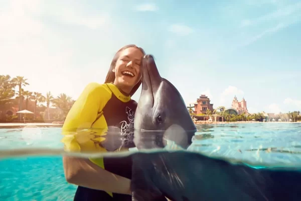 Dolphin bay at aquaventure world tickets - Image 4