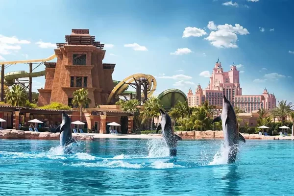 Dolphin bay at aquaventure world tickets - Image 5