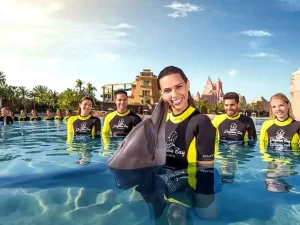 Dolphin bay at aquaventure world tickets