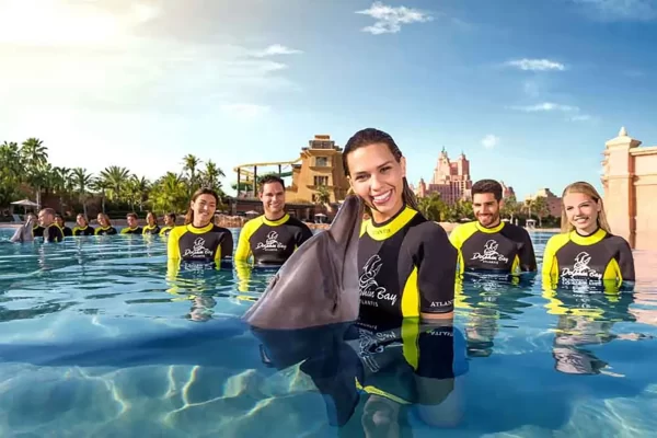 Dolphin bay at aquaventure world tickets