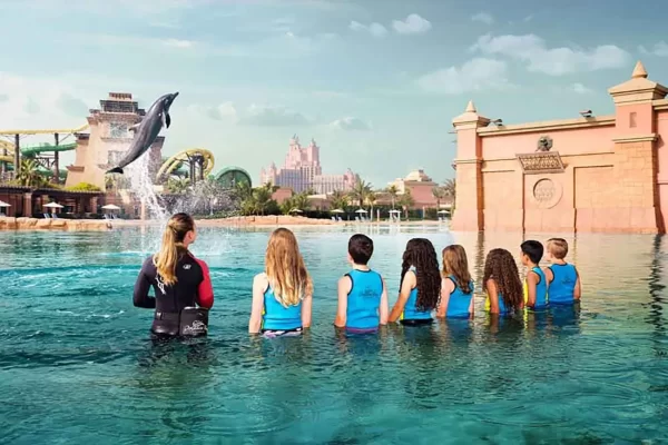 Dolphin bay at aquaventure world tickets - Image 7