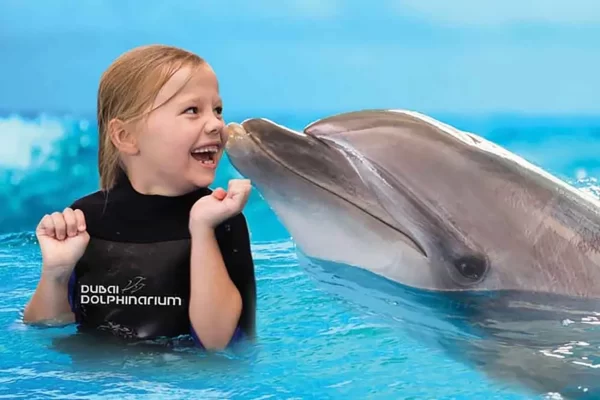 Dolphin bay at aquaventure world tickets - Image 8