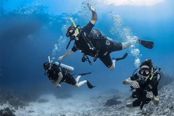 Scuba Diving Dubai - Image 2