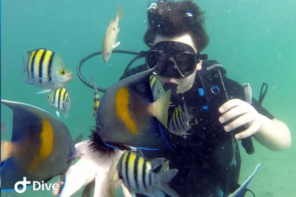 Scuba Diving Dubai - Image 3