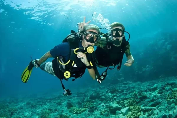 Scuba Diving Dubai - Image 4