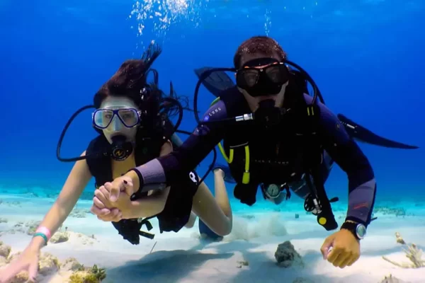 Scuba Diving Dubai - Image 5