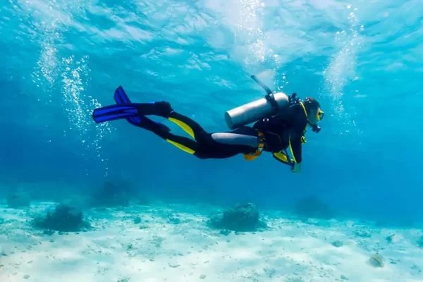 Scuba Diving Dubai - Image 6