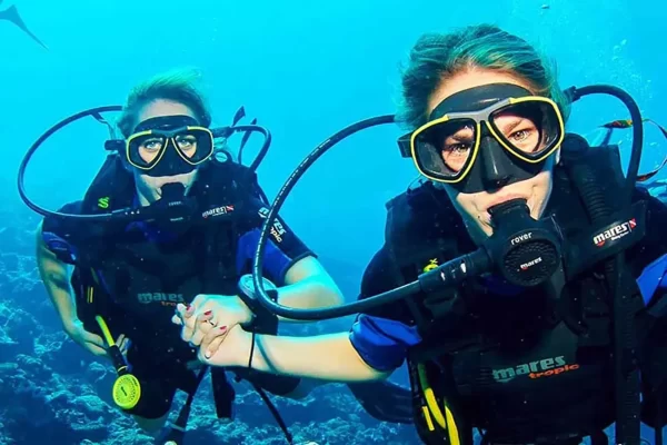 Scuba Diving Dubai - Image 7