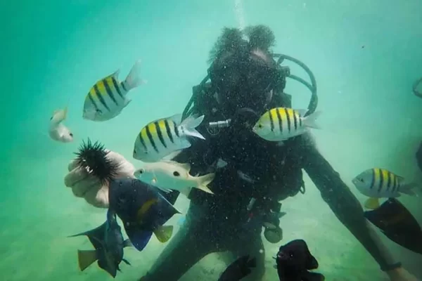 Scuba Diving Dubai - Image 8